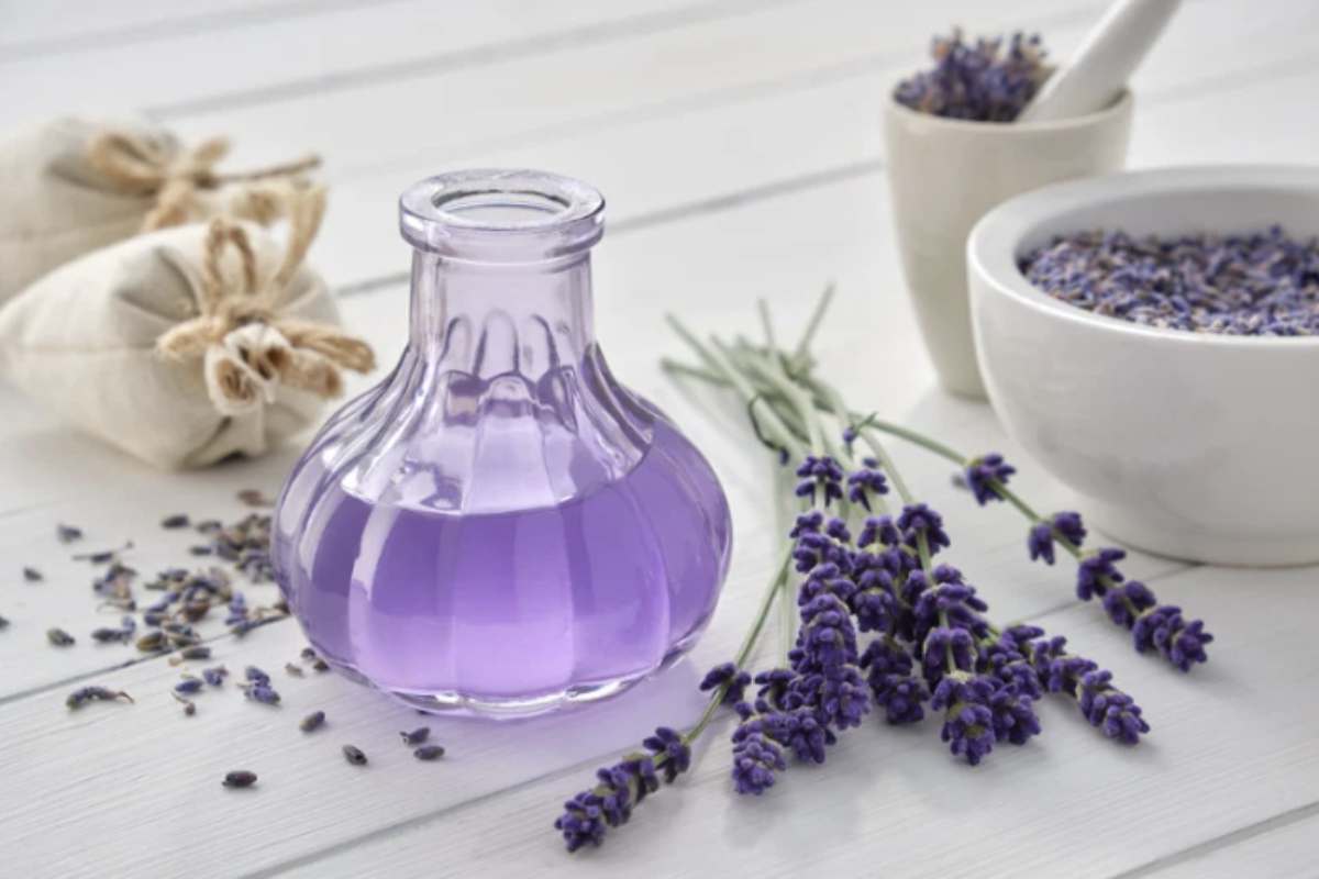 L’acqua floreale di lavanda non è solo un alleato per la casa, ma un prezioso rimedio per il benessere personale.