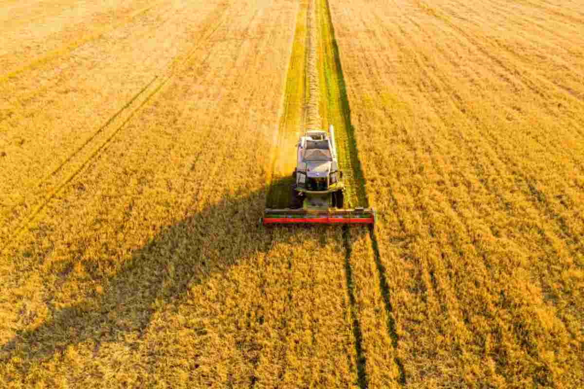 Bonus agricoltura