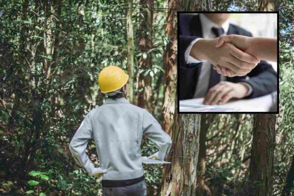 Bando per assunzione forestali