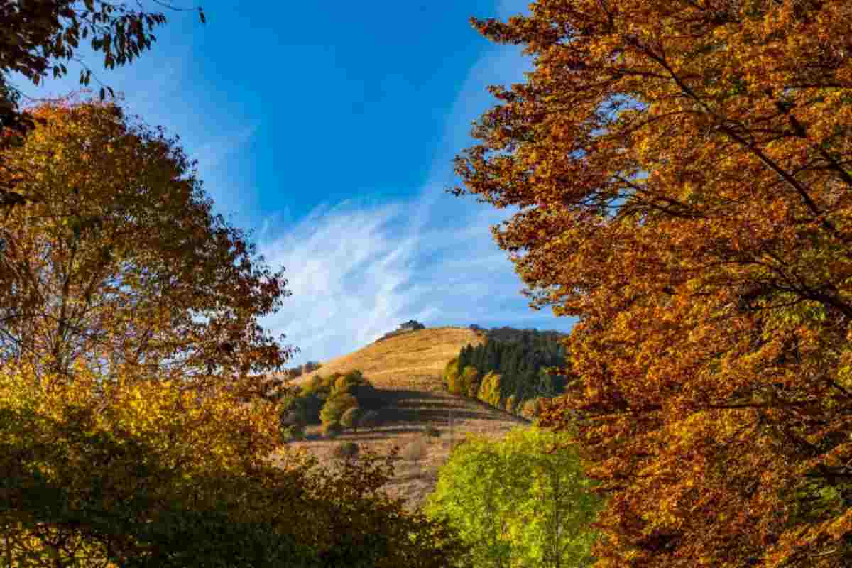 Valle d'Intelvi