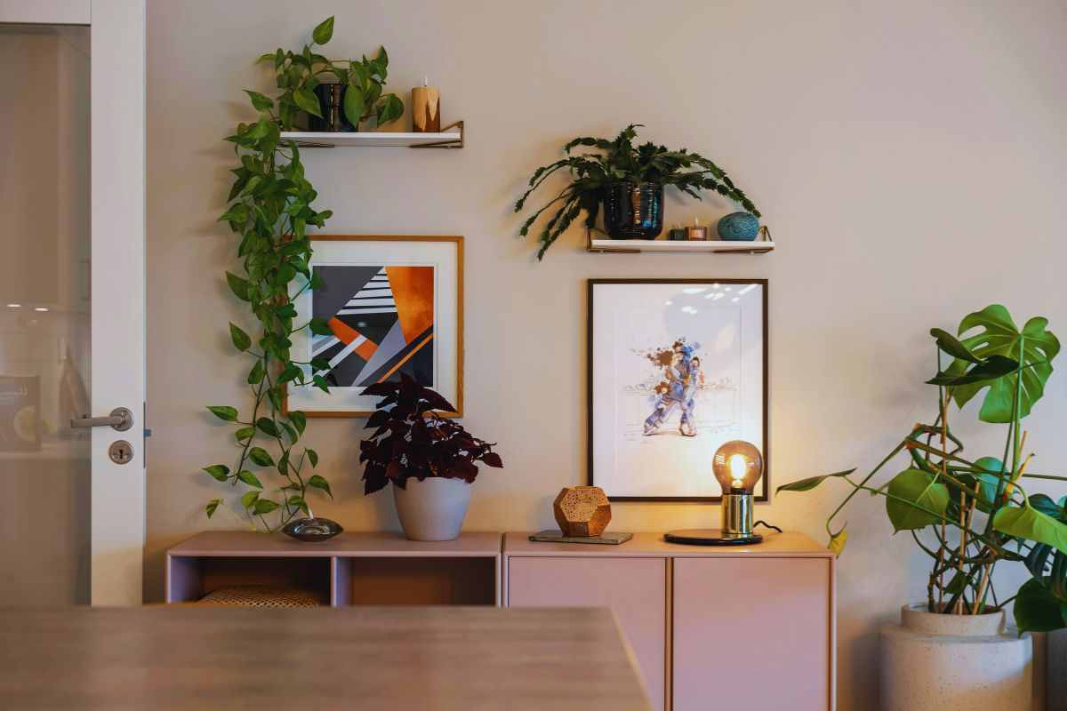 piante e arredamento dellla casa